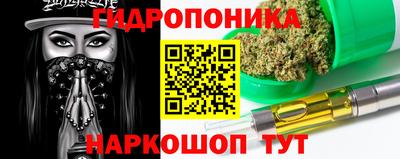 apvp Аша