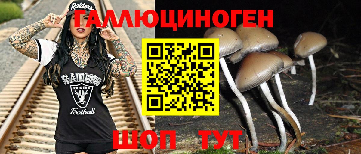 Псилоцибиновые грибы мицелий Губаха